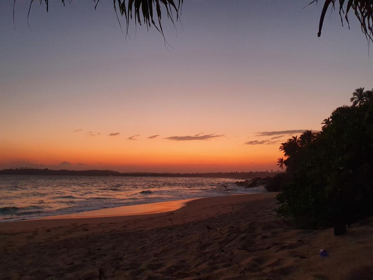 Into The Blue - Yoga Included & Walk To 3 Beaches タンガラ エクステリア 写真