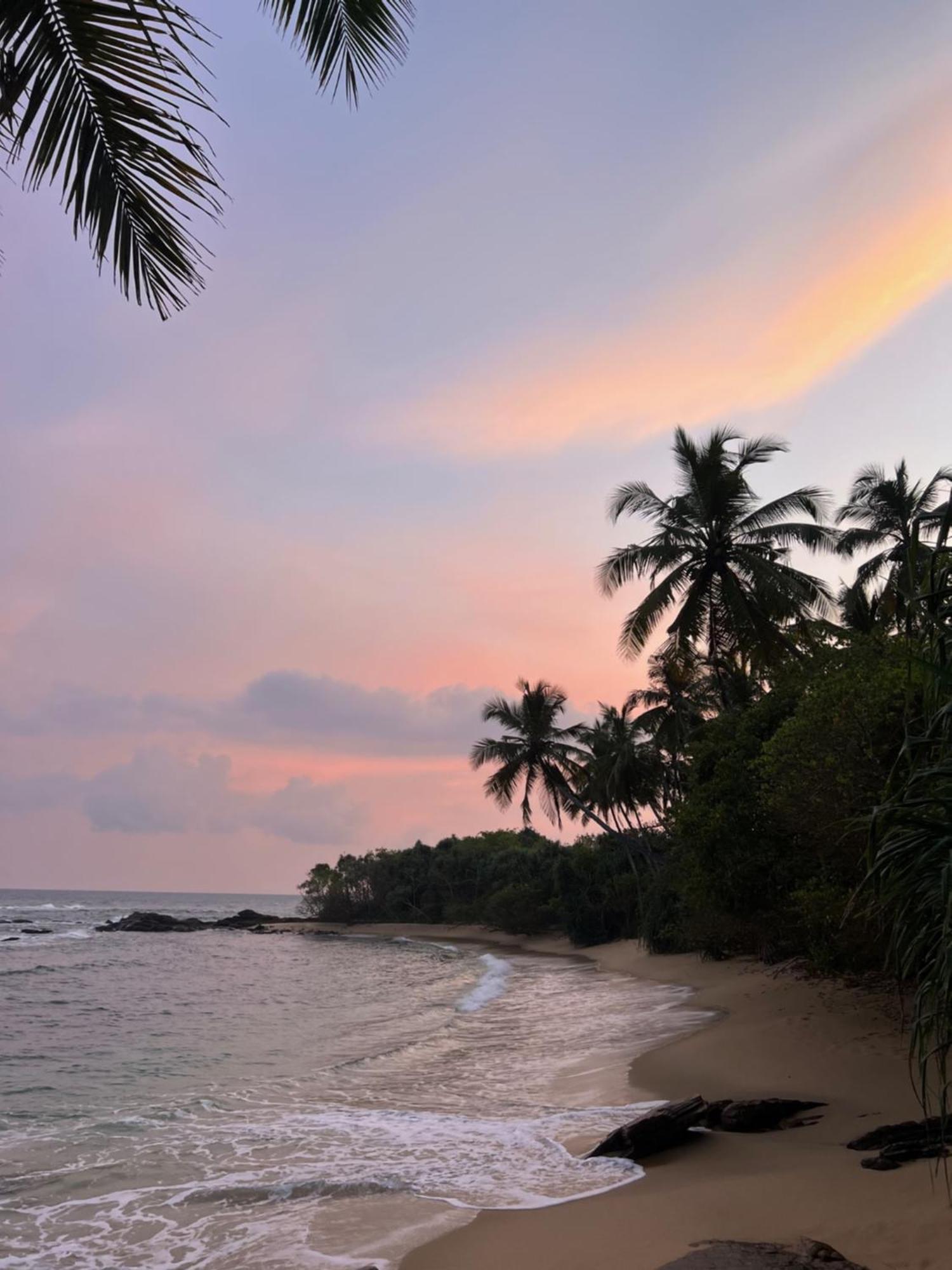 Into The Blue - Yoga Included & Walk To 3 Beaches タンガラ エクステリア 写真