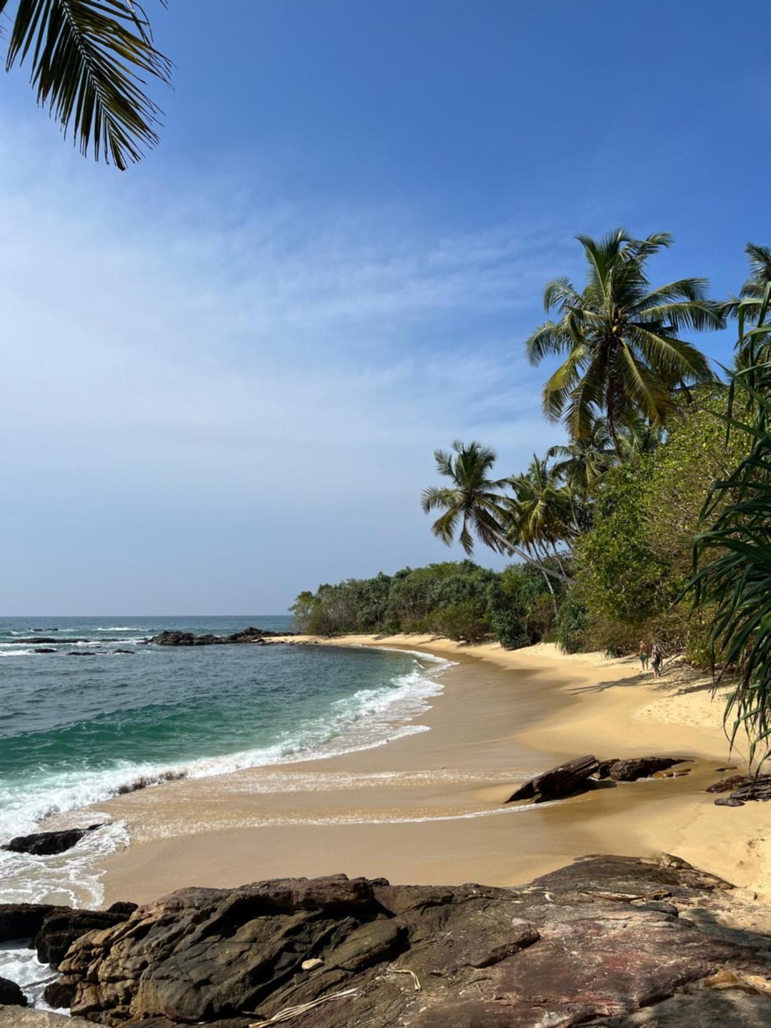 Into The Blue - Yoga Included & Walk To 3 Beaches タンガラ エクステリア 写真