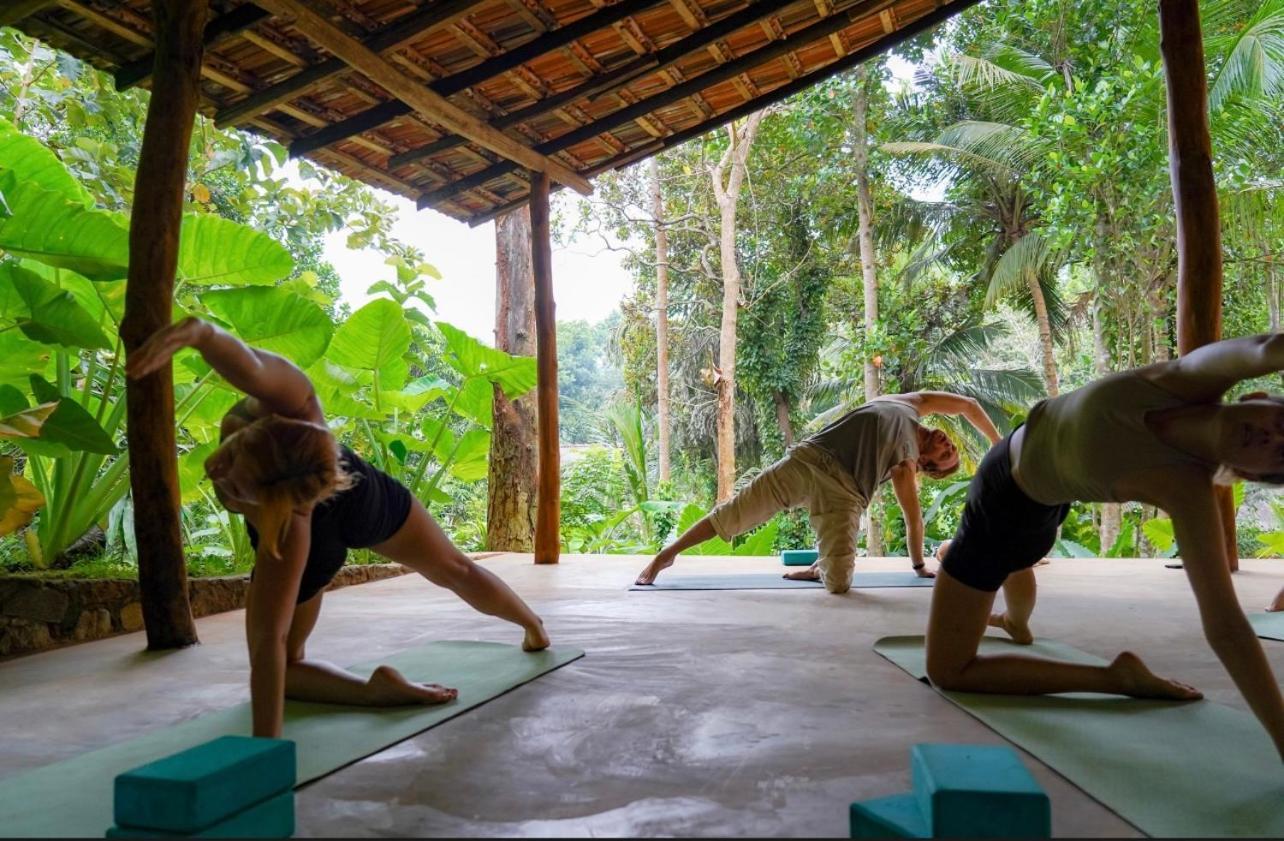 Into The Blue - Yoga Included & Walk To 3 Beaches タンガラ エクステリア 写真
